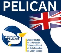 Logo du Programme Pelican